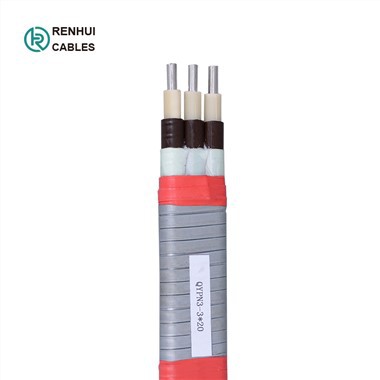 کابل مستغرق تخت